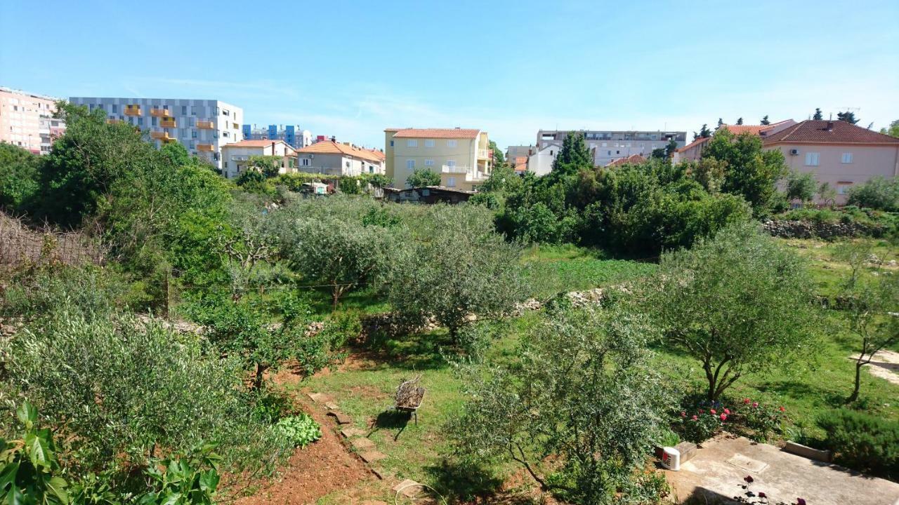 F-Holiday Apartment زادار المظهر الخارجي الصورة